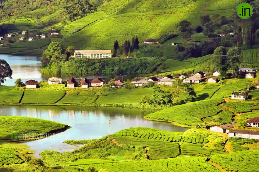 Megamalai, Tamilnadu