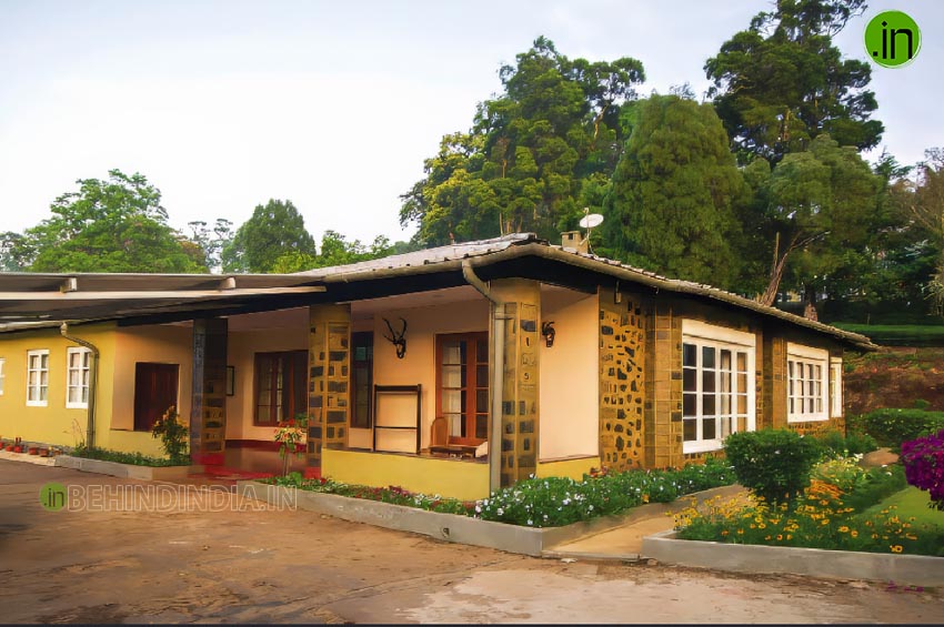 Cloud Mountain Bungalow