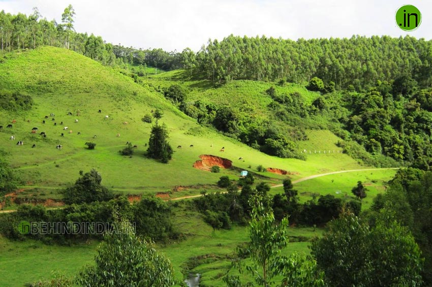 Yellapetty, Kerala